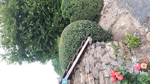 Photo n°21 de DG jardinage à Vigeois (Jardinier)