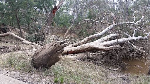 Cudgee Park - Visual