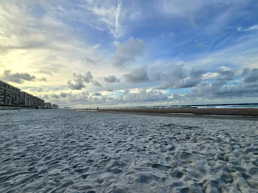 Winterhaven Park - Visual