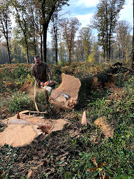 Photo n°5 de Bernard Gauthier Merrandier à Méry-ès-Bois (Scierie)