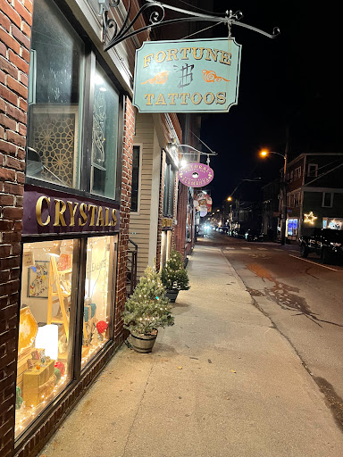 Natural Elements: A Nature and Science Store