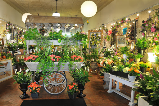 Talbott’s Flowers - Visual