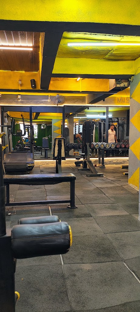 Muscle Mustang Unisex Gym