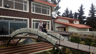 Photos of رستوران ساحلي دامون