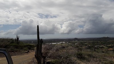 Photos of Chabad Aruba