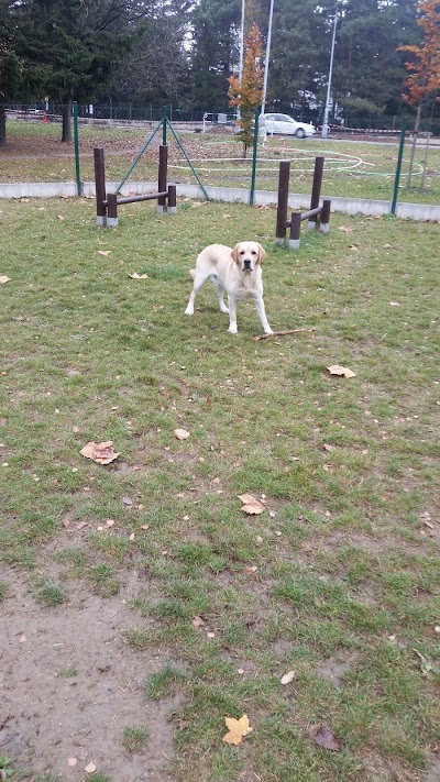 Photos of V&yacute;běh pro psy