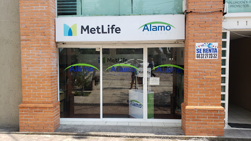 Alamo Seguros | MetLife Acueducto Gallery - Mexico