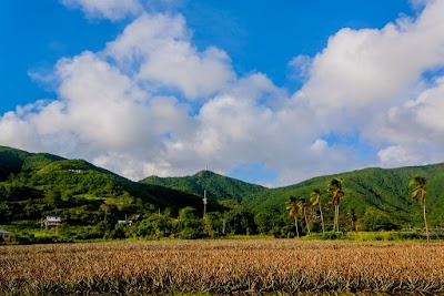 Photos of Cades Bay Agricultural Station