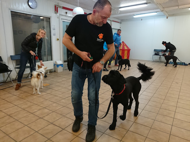 Wesoła Łapka Grodzisk Maz./Pruszków - szkolenie psów