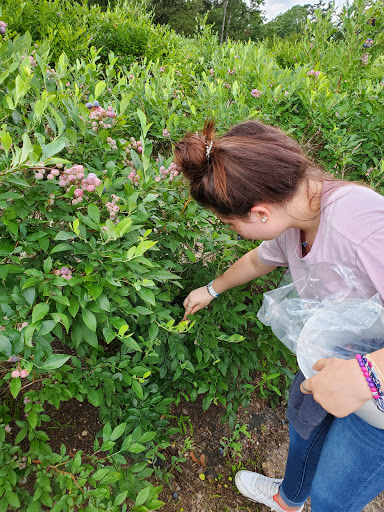 Brown's Berry Farm - Thumbnail