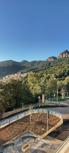 Clinica Tommasini