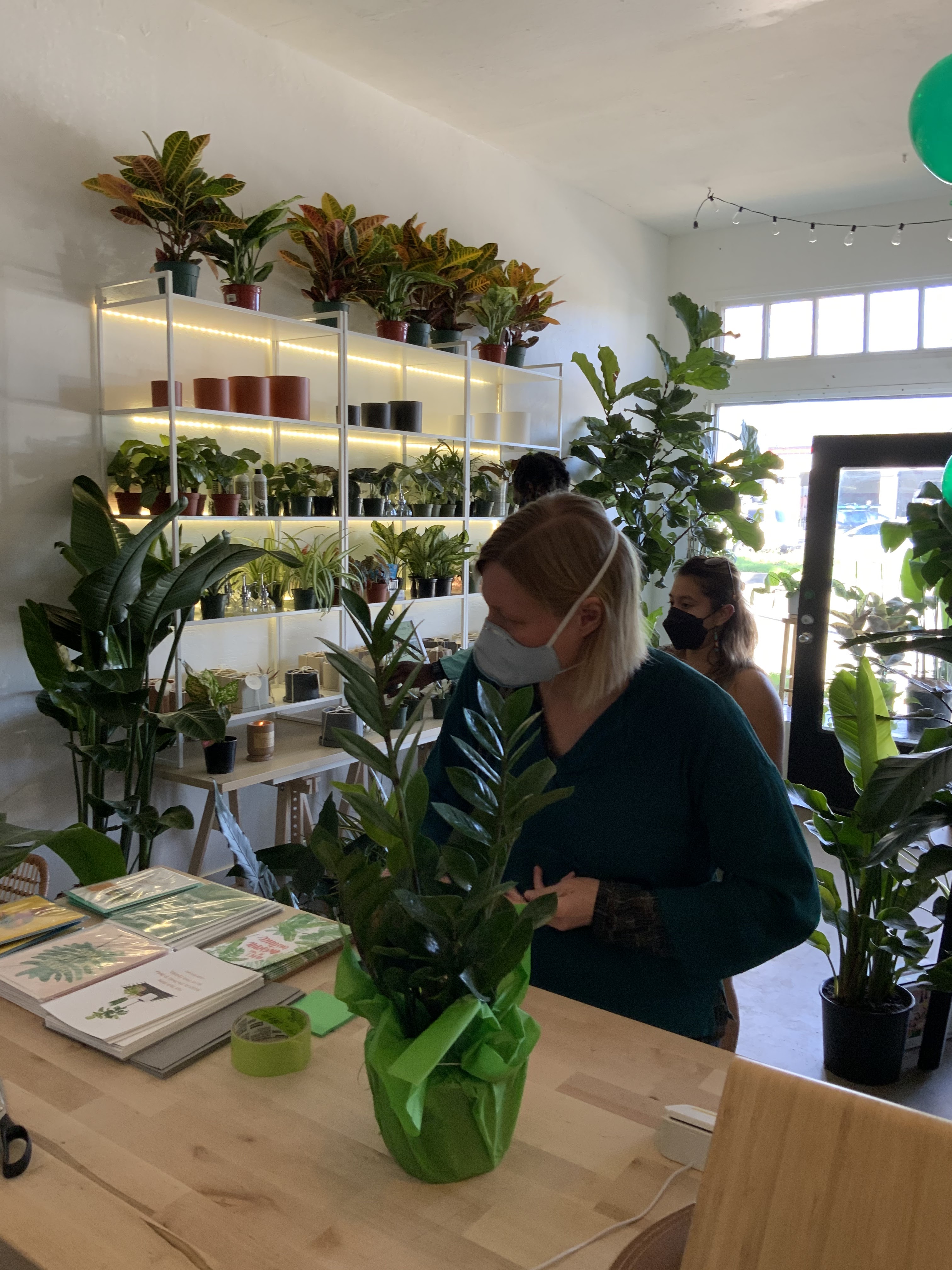 The Plant Queen