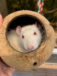 Photo n°32 de Maxi Zoo Houssen à Houssen (Animalerie)