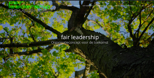 Fair Leadership Company