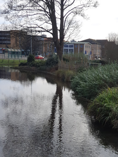 Hemel Hempstead Library Gallery - United Kingdom