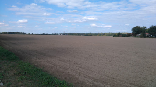Schallweg (Berlin) - Visual