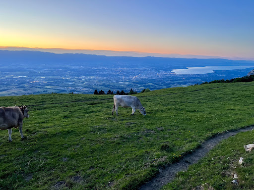 Alpage du Plan, le Salève - Thumbnail