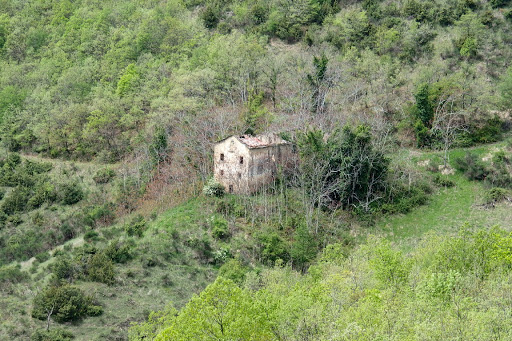 i Gorghi - Visual