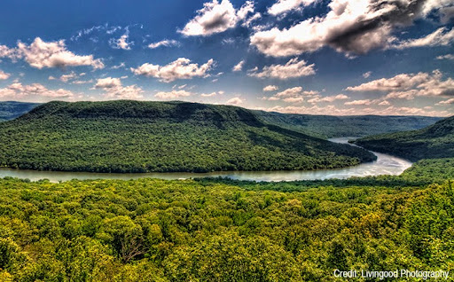 Tennessee River Gorge Trust - Thumbnail