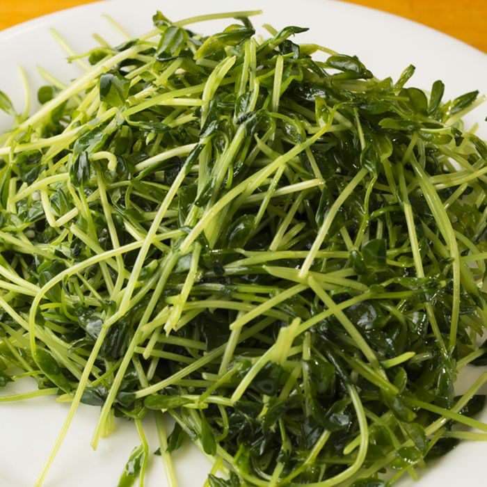 餃子酒場 八王子店