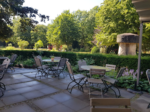 Café Chrysander - Visual