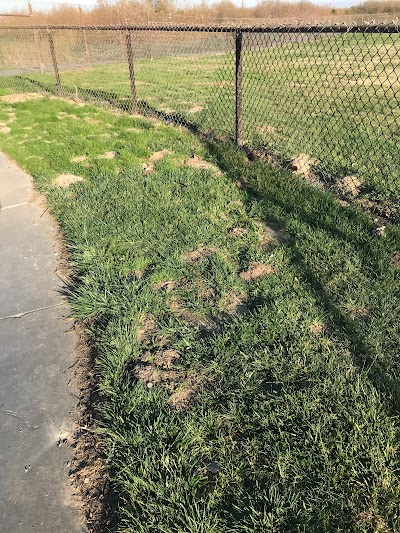 Gopher-Removal