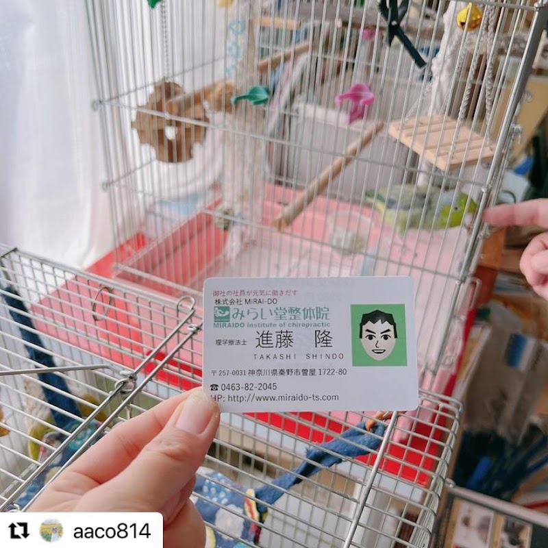 みらい堂整体院【秦野市/整体/ぎっくり腰/肩凝り/オスグッド/受験生集中力UP/】