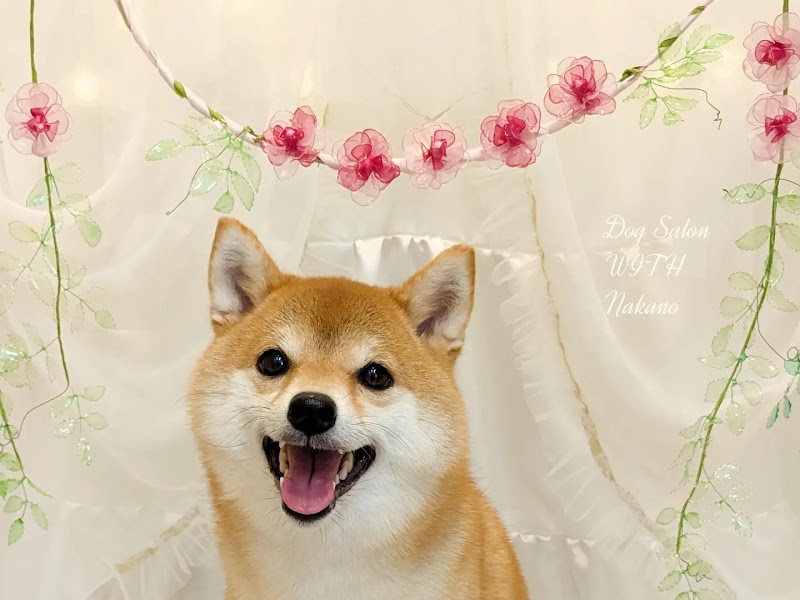 ドッグサロンウィズ（WITH）中野店