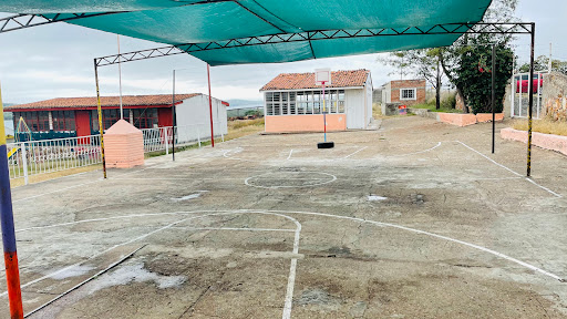 Primaria - Visual
