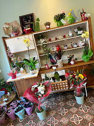Photo n°18 de La petite fleuriste d Arles sur tech à Arles-sur-Tech (Fleuriste)