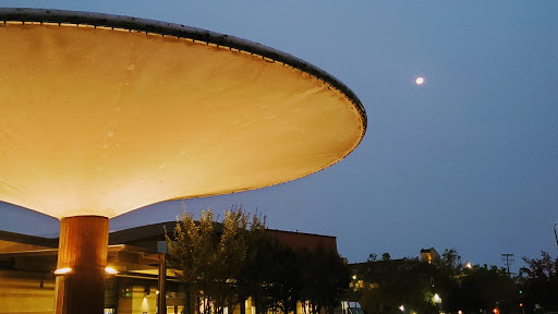 Berkeley Bowl Marketplace - Thumbnail