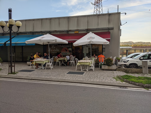 Bionda - Visual