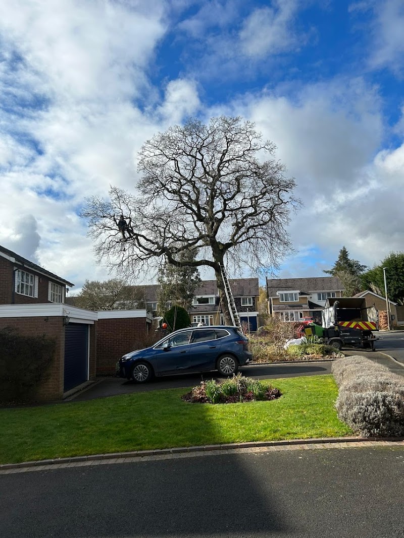 Umberslade Arboriculture photo 2