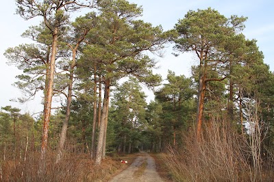 Photos of T&auml;navj&auml;rv