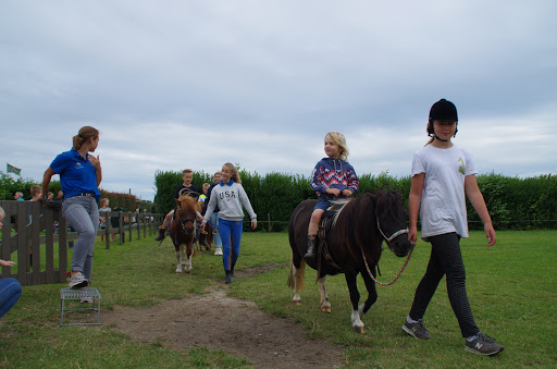 Midi Camping van der Burgh - Thumbnail