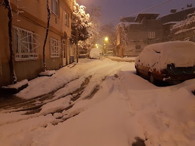 Photos of Şht. Dogan Sevin&ccedil; İlkokulu