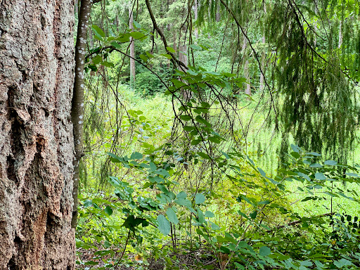 Brookhaven Park - Visual