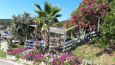 Photos of Plazhi i Generalit