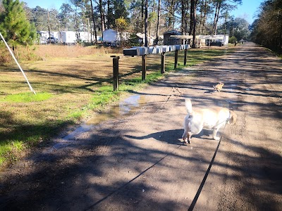 Tammany Mobile Home Park