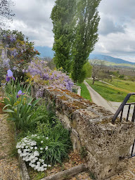 Photo n°15 de gîte les deux sources à Saint-Laurent-en-Royans (Gîte)
