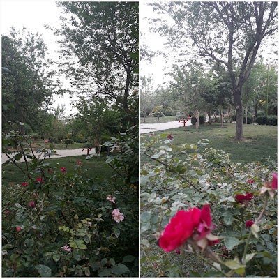 Photos of بوستان نارنج