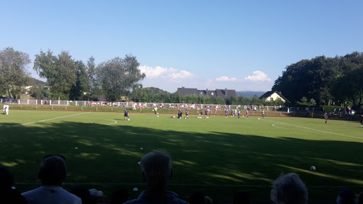 Spiegelwaldhalle - Thumbnail