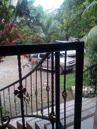 Photos of Hotel El Bosque