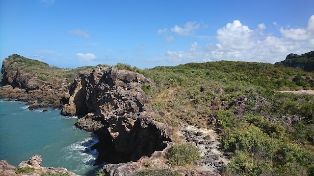 Cape Hillsborough National Park