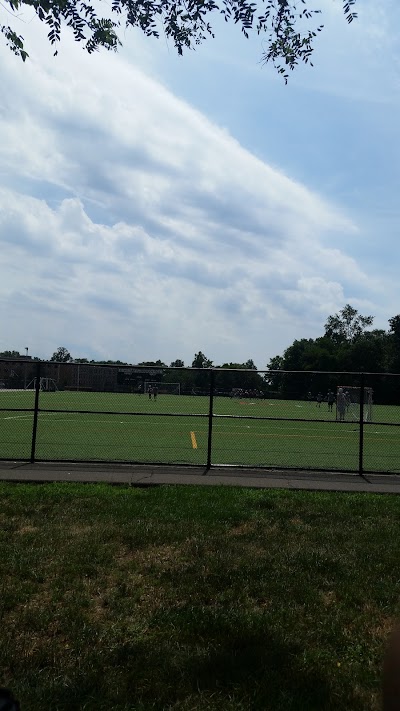 Lessing Field