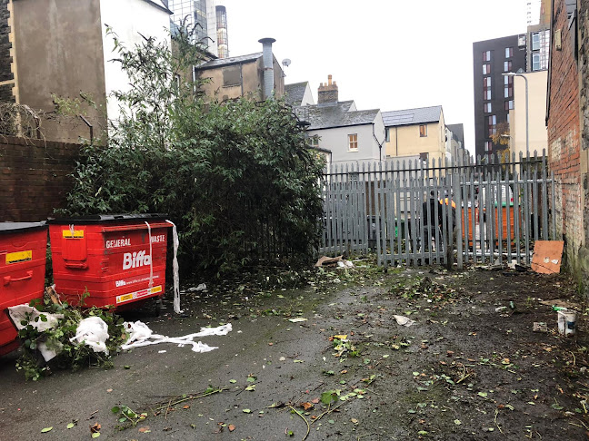 Four Seasons Tree Surgery - Bridgend