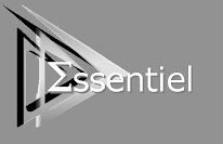 ESSENTIEL à Jouy-le-Potier