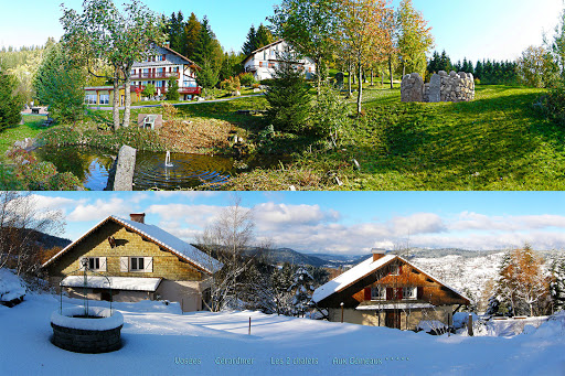 Photo de location vacances gite/chalet + PISCINE privée à Gérardmer Vosges à Gérardmer (88400)