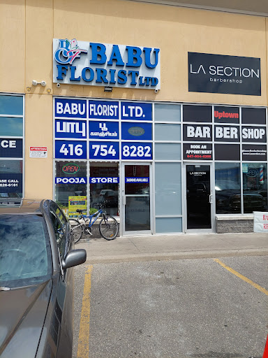 BABU FLORIST LTD - Thumbnail