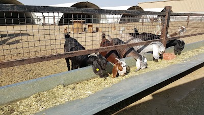 Photos of Yasmin Farms